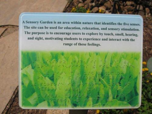 prestonwoodforestud hancock elementary school sensory garden 7