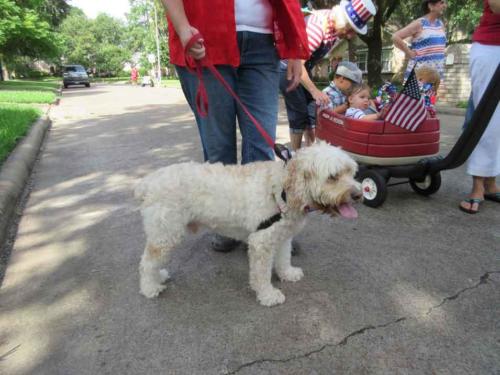 prestonwoodforestud july 4th parade 2015 10 (1)