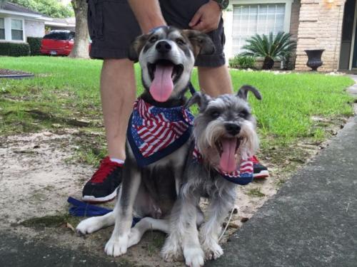 prestonwoodforestud july 4th parade 2016 149